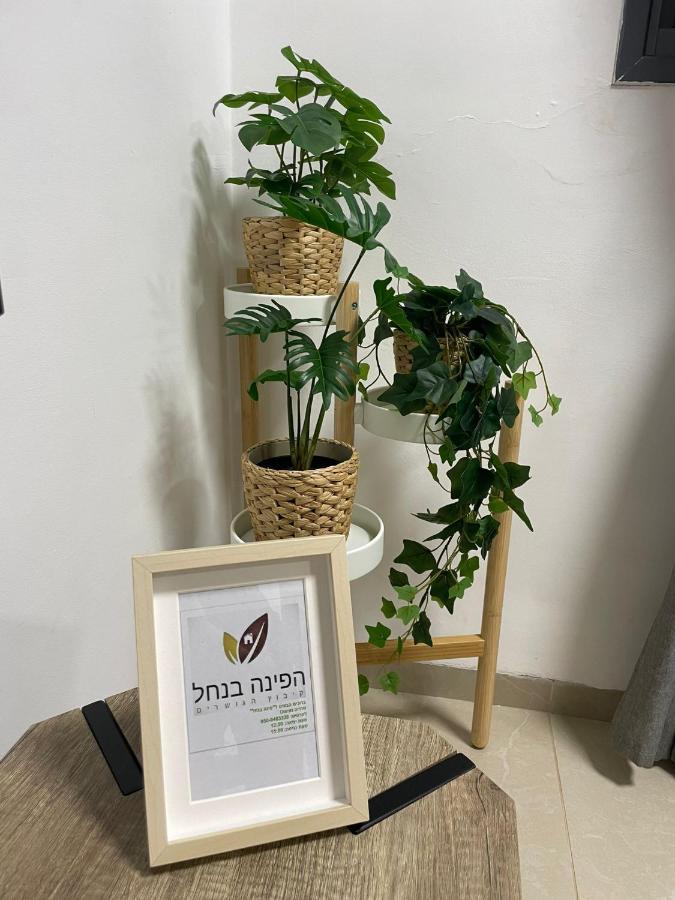 Ferienwohnung הפינה בנחל Hagoshrim Exterior foto